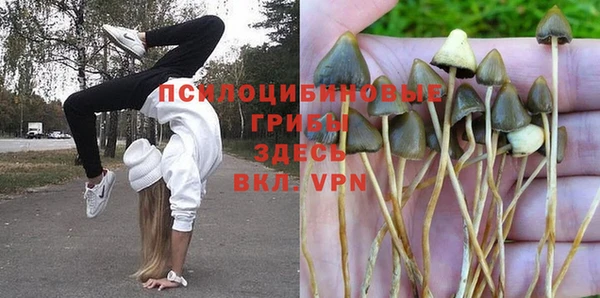 кристаллы Бородино