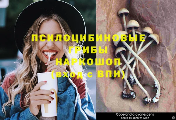 кокаин колумбия Пересвет