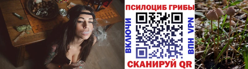 где можно купить наркотик  Новодвинск  Галлюциногенные грибы GOLDEN TEACHER 